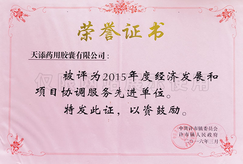 2015年度經濟發展和項目協調服務先進單位